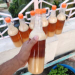 Mustard Flower Raw Honey (সরিষা ফুলের খাঁটি মধু/জমা মধু)